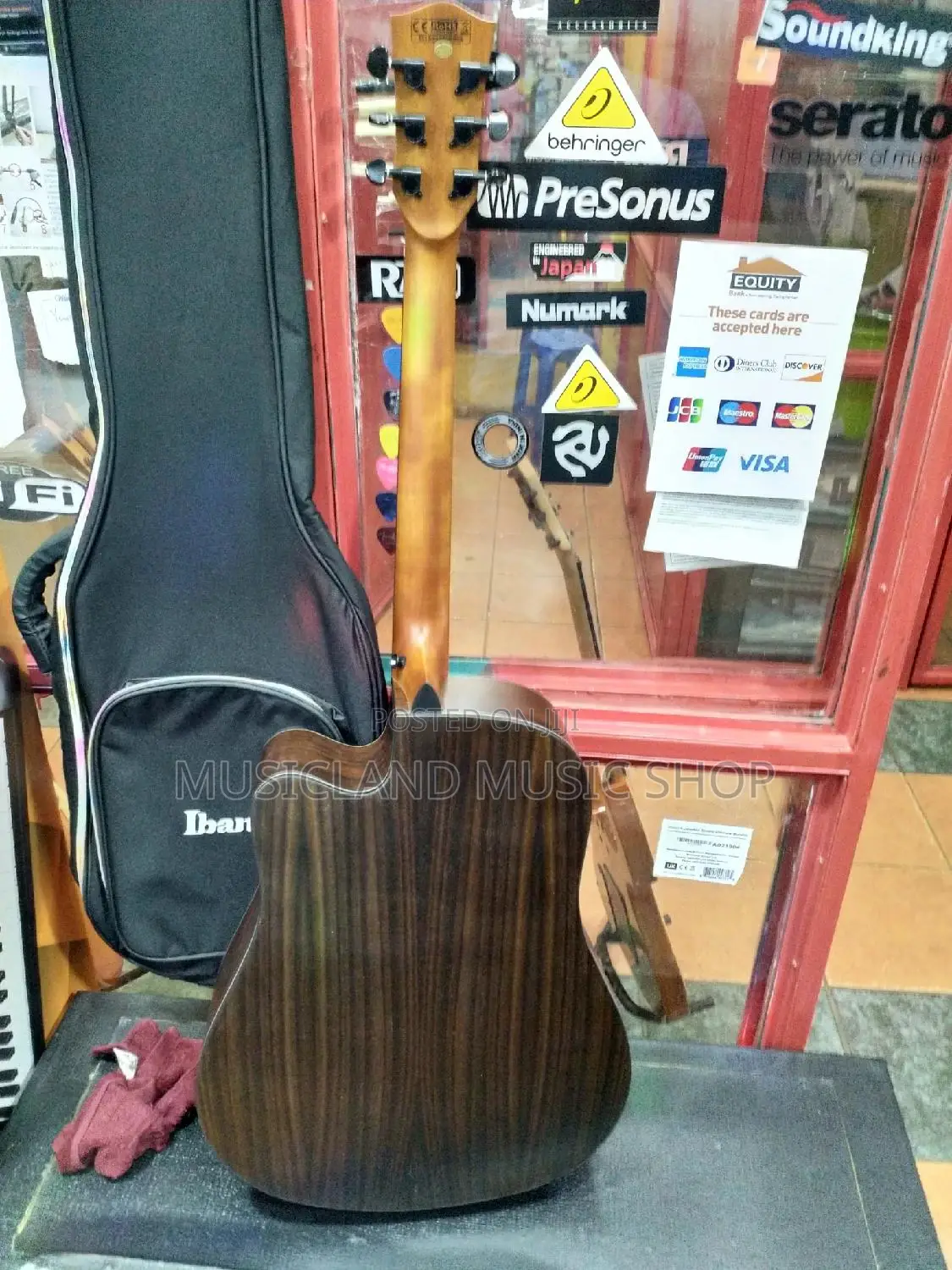 Fender Semi Acoustic Professional Guitar 20l