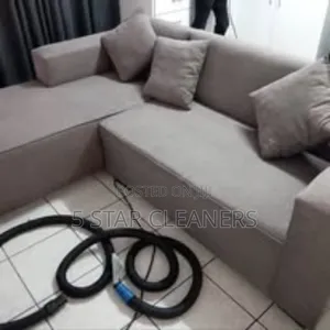 Household Cleaners- Sofa/ Carpet /Mattress and Other Upholstery