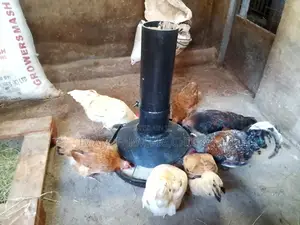 Chicken Feeder