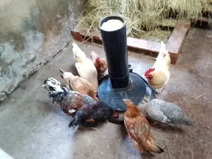 Chicken Feeder