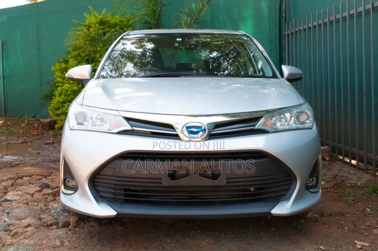 Toyota Axio 2018 Silver