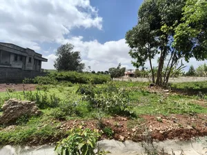 Quarter Acre Plot for Sale in Kerarapon Drive. Red Soil Land
