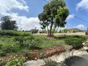 Quarter Acre Plot for Sale in Kerarapon Drive. Red Soil Land