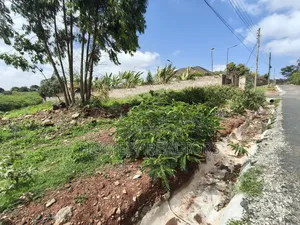 Quarter Acre Plot for Sale in Kerarapon Drive. Red Soil Land