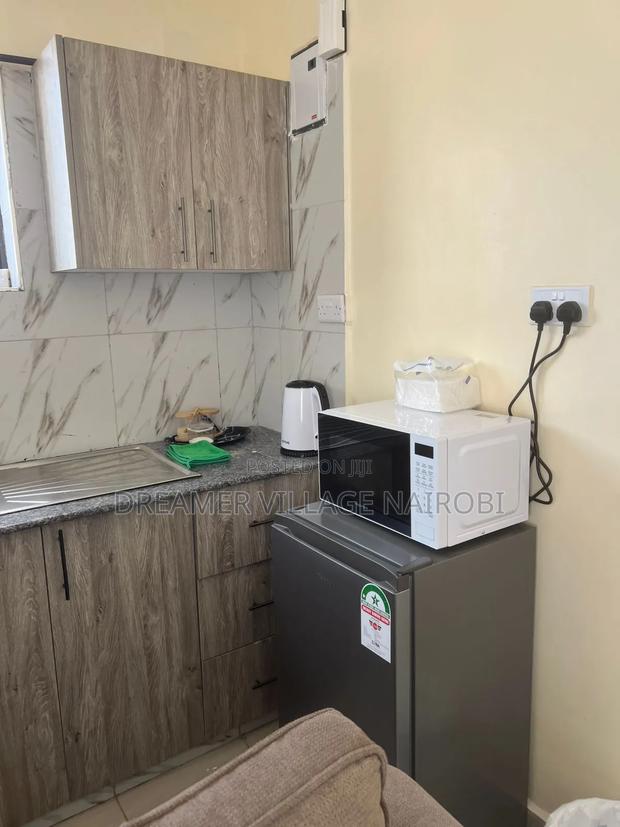 Fully Furnished Studio in Kikuyu - thumbnail 7