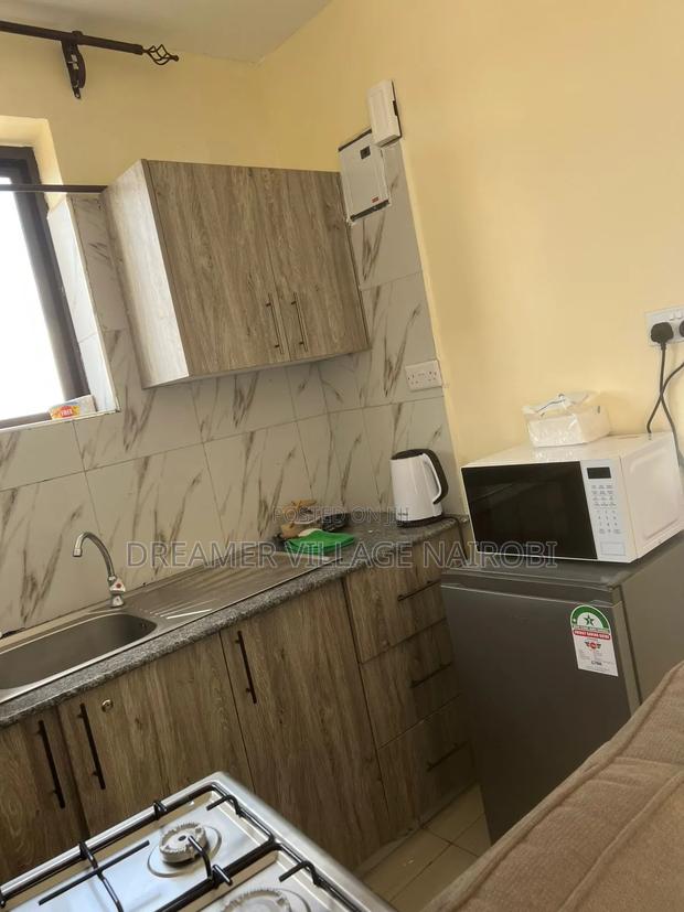 Fully Furnished Studio in Kikuyu - thumbnail 9