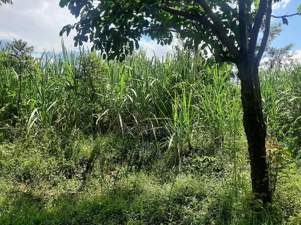 Land for Sale - thumbnail 5