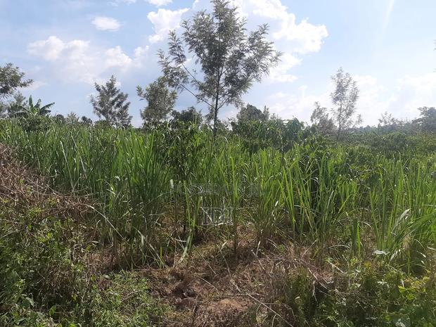Land for Sale - thumbnail 6