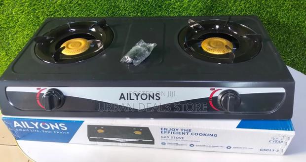 Ailyons Metallic Two Stainless Burner Cooker