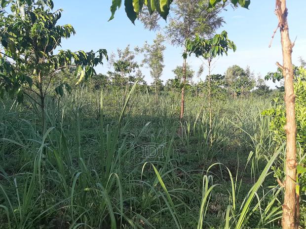 Land for Sale - thumbnail 8