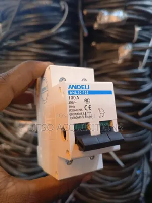 100a Andeli Double Pole Breaker