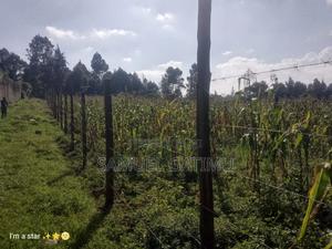 50/100 Kanunga Plot for Sale - thumbnail 2