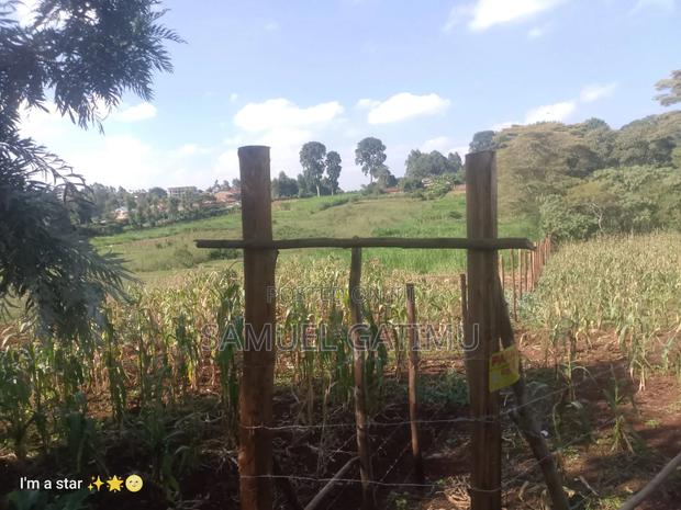 50/100 Kanunga Plot for Sale - thumbnail 6