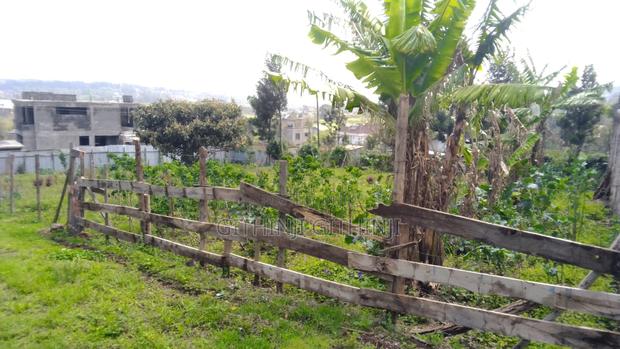 Two 1/8 Acre Premium Residential Plots for Sale in Ngong, Kibiko
