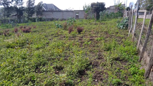 Two 1/8 Acre Premium Residential Plots for Sale in Ngong, Kibiko - thumbnail 2