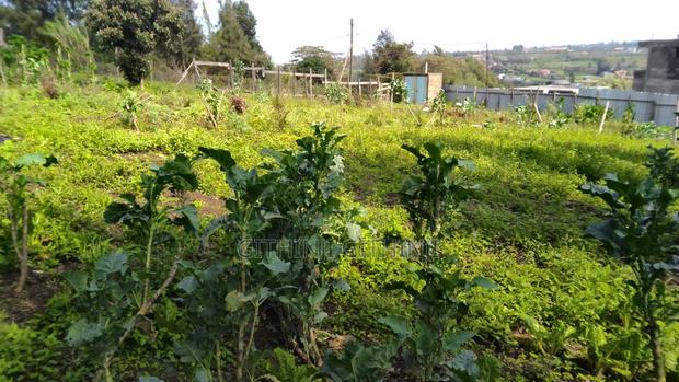 Two 1/8 Acre Premium Residential Plots for Sale in Ngong, Kibiko - thumbnail 3