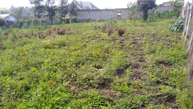 Two 1/8 Acre Premium Residential Plots for Sale in Ngong, Kibiko - thumbnail 4