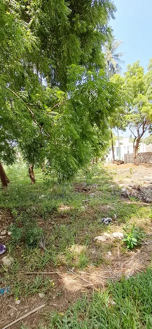 For Sale Quater of an Acres Plots Mtwapa