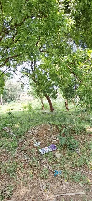 For Sale Quater of an Acres Plots Mtwapa