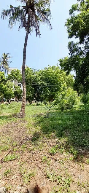 For Sale Quater of an Acres Plots Mtwapa