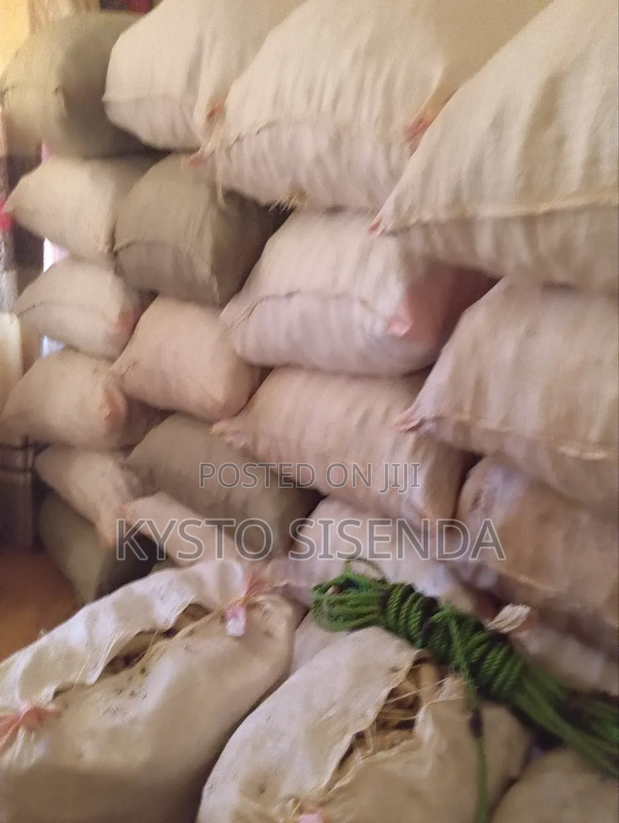 Dry Maize Cobs