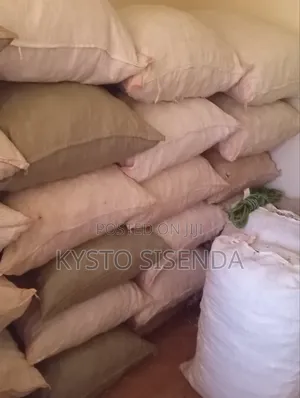 Dry Maize Cobs