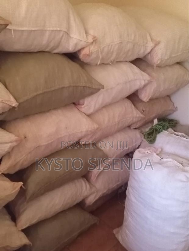 Dry Maize Cobs - thumbnail 2