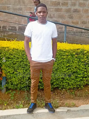 Seeeking for Academic Writing Job