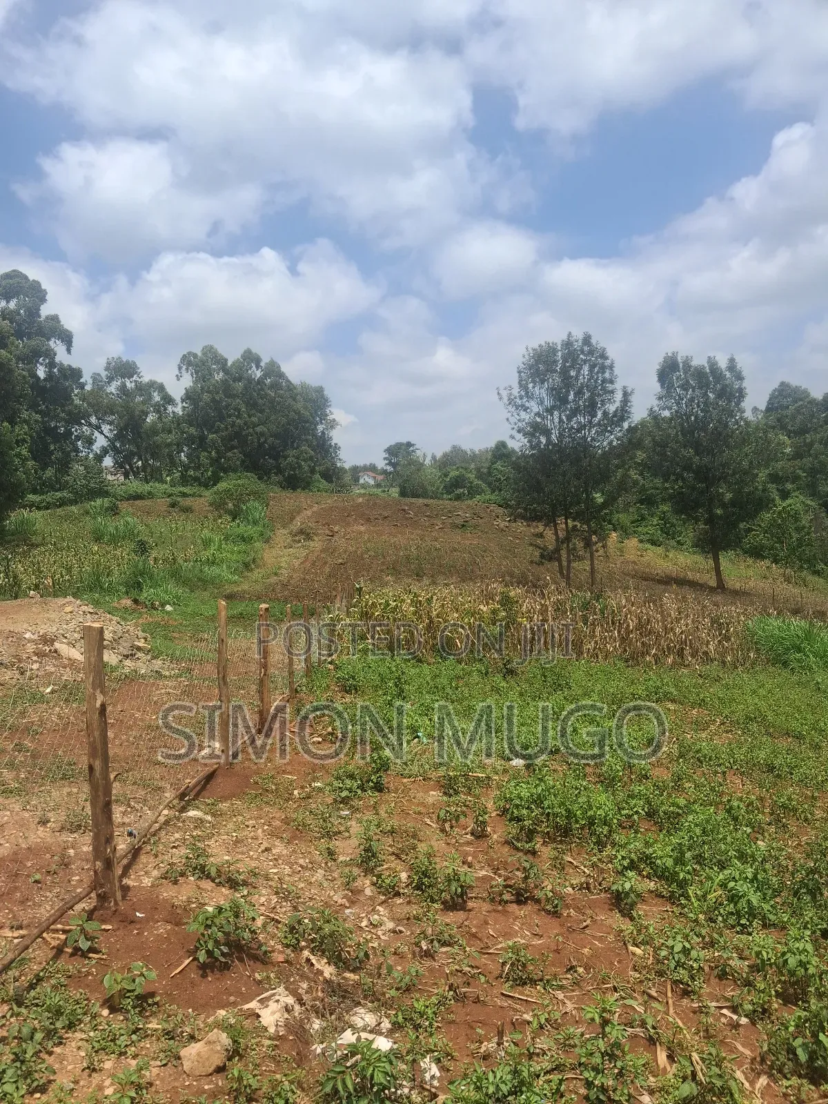 Valley View Estate Kiambu Road Very Prime Residential 1/2 Acre