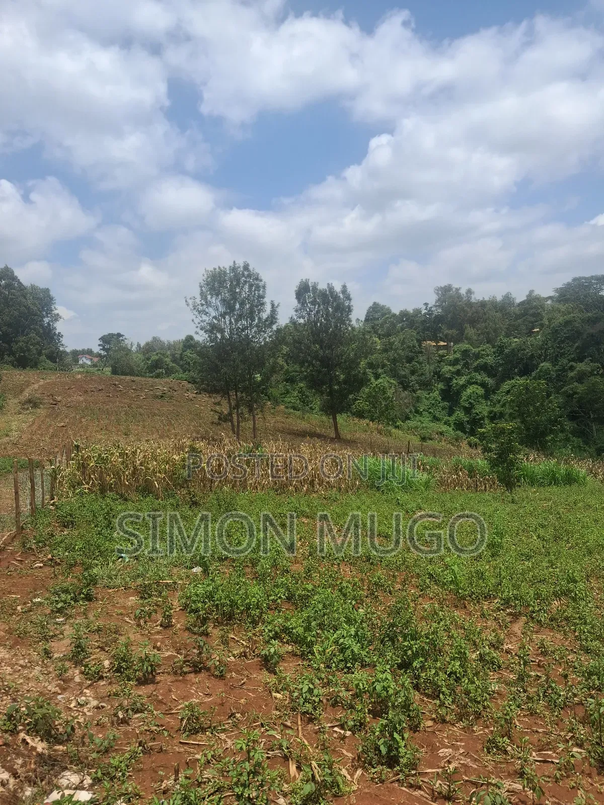 Valley View Estate Kiambu Road Very Prime Residential 1/2 Acre