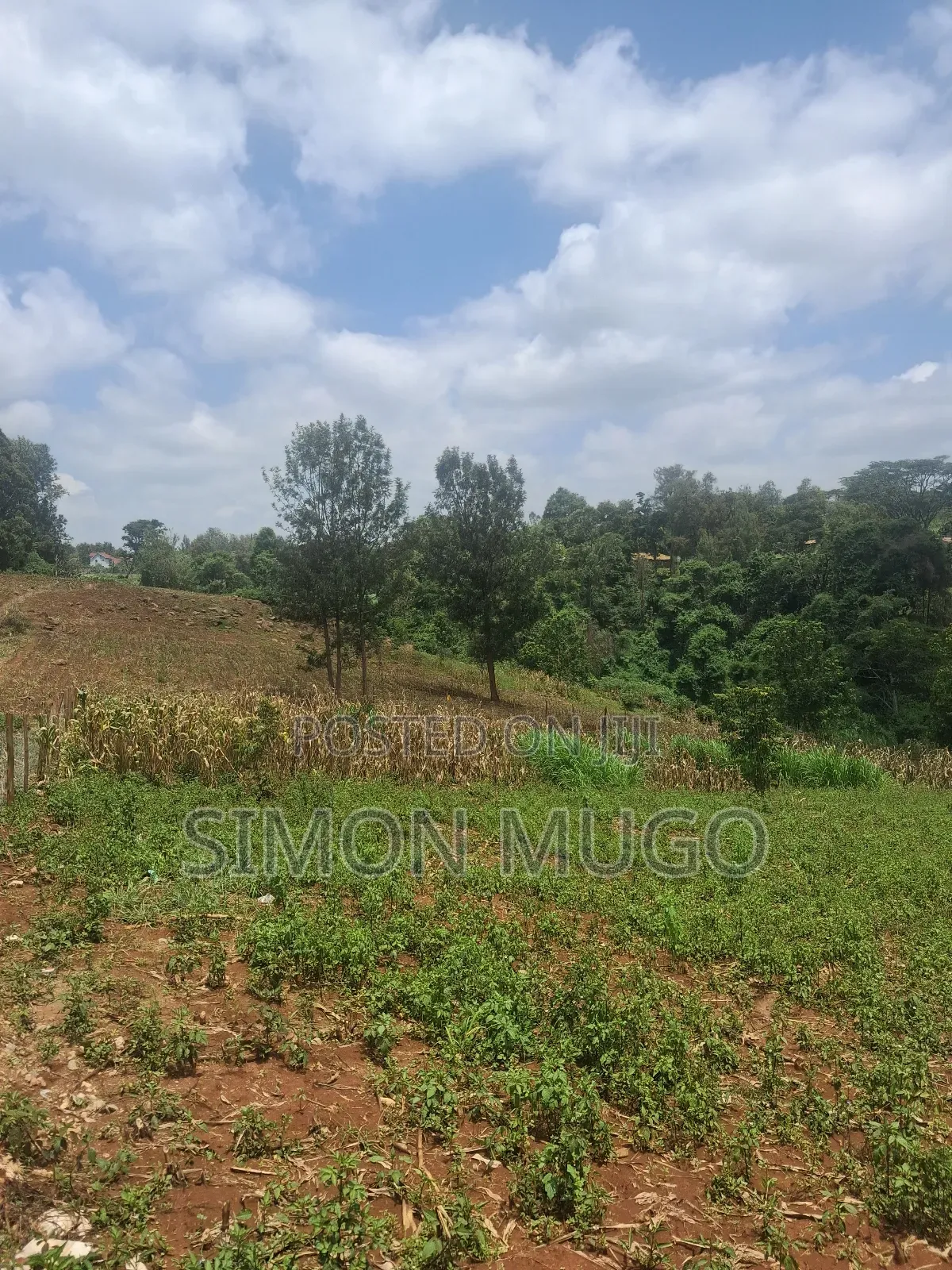 Valley View Estate Kiambu Road Very Prime Residential 1/2 Acre