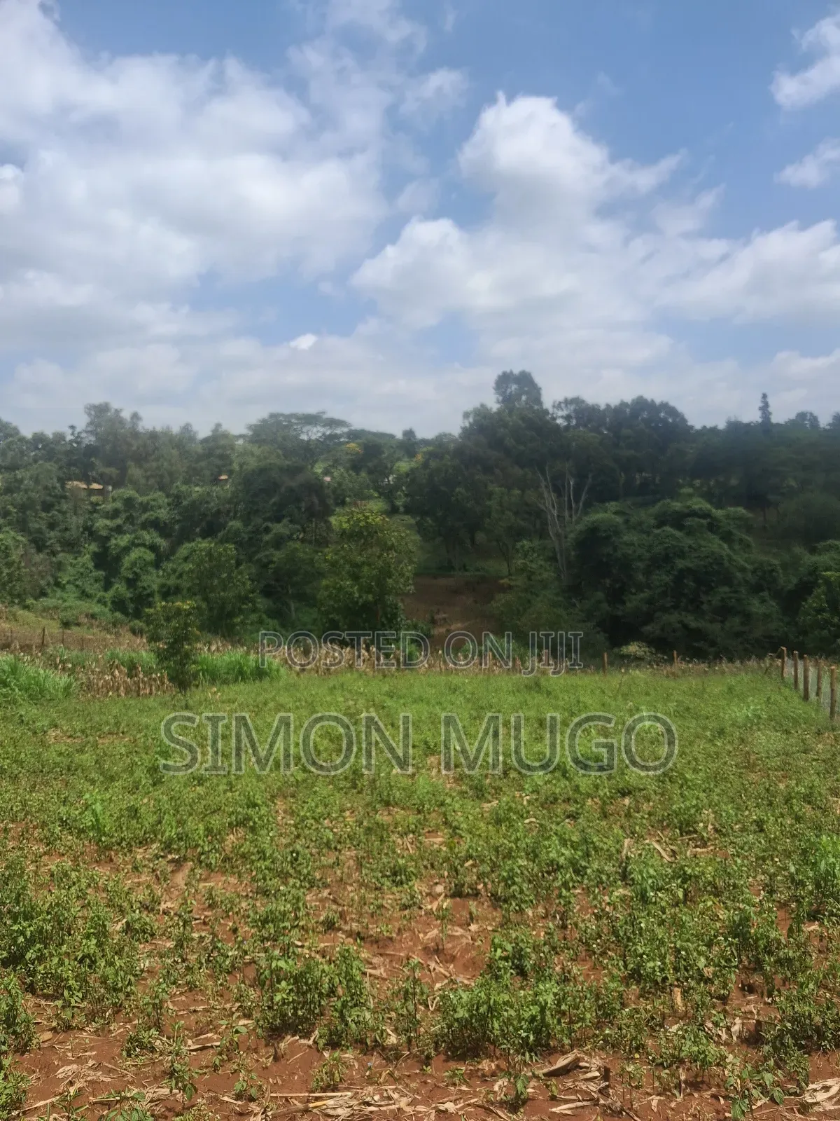 Valley View Estate Kiambu Road Very Prime Residential 1/2 Acre