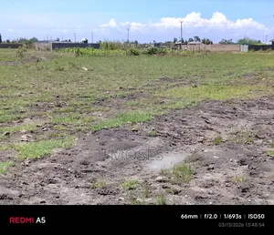 1/4 Plot Land on Sale in Thika Landless