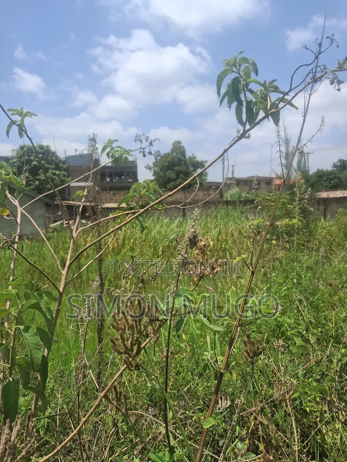 Njathaini Prime Commercial 1/2 Acre Fronting Village Inn Rd