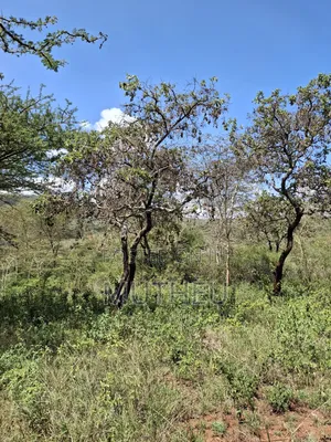 10 Acres of Land-Salama, Msa Rd