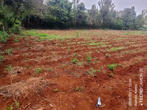 1⁄4acre Plot for Sale in Kerarapon Drive , Good for Residential