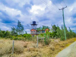 Mbuni Gardens Near Ostrich Farm - Ready Titles