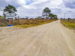 Mbuni Gardens Near Ostrich Farm - Ready Titles