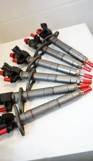 Landrover Discovery 4/Range Rover Sport 3.0 Fuel Injector Nozzles