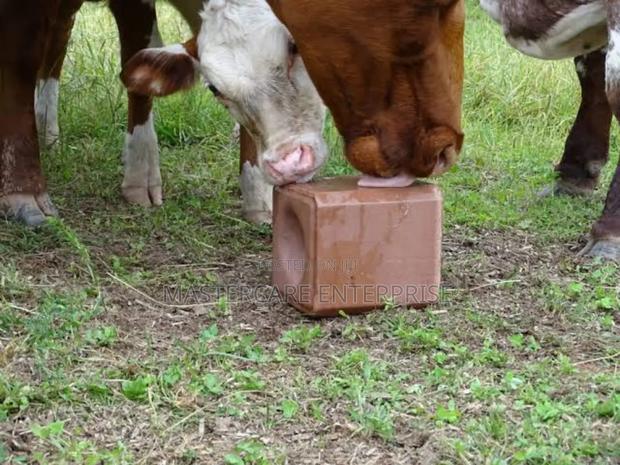 Cow Mineral Salt 1 Kg