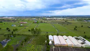 Plots With Ready Freehold Titles in Kitengela