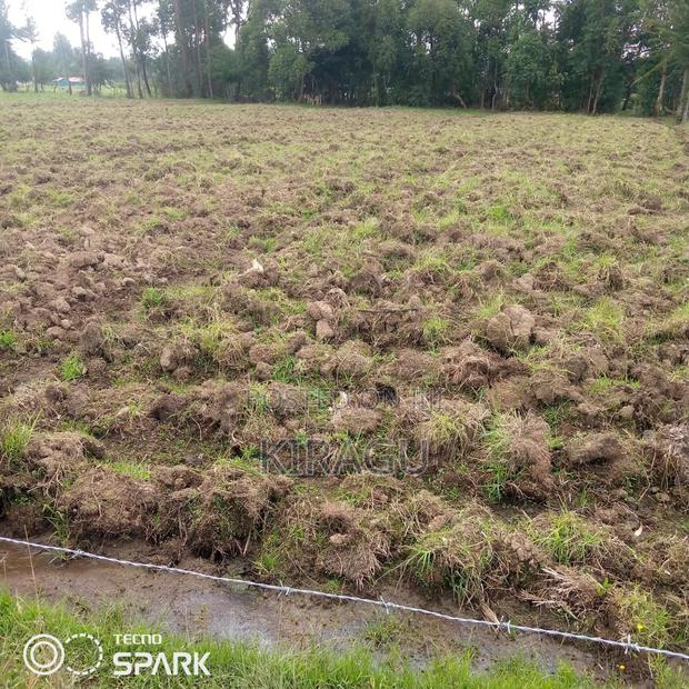 Half Acre for Sale in Kinangop - thumbnail 2