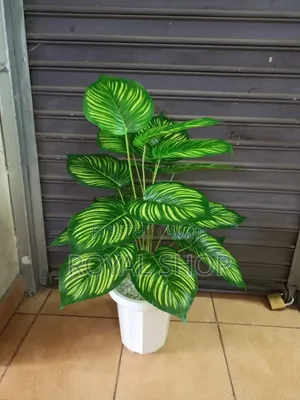 Flowers Pot and Topping Inclusive
