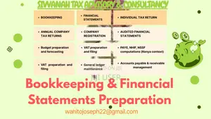 Tax and Accounting Consultancy