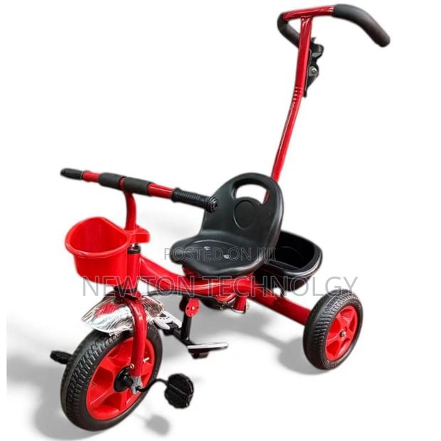 Tricycle With Push Handle - main view