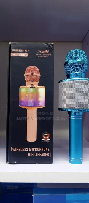 Portable Ws-858l Wireless Karaoke Microphone With Led Lights