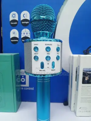 Portable Ws-858l Wireless Karaoke Microphone With Led Lights