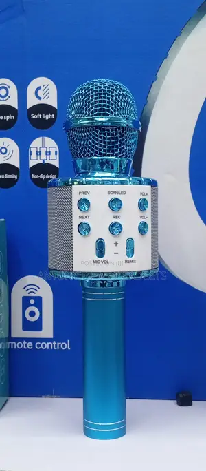 Ws-858l Hifi Wireless Microphone With Tf/Usb And Echo Effects