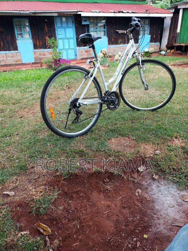 Bicycle Size 28 - main view