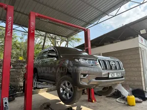 4t Two Post Carlift Machine Best Design and I Quality Sunshine